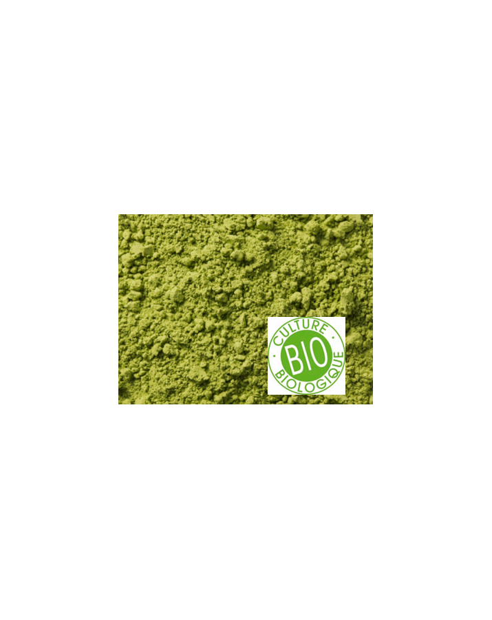 Thè Vert biologique de Chine Matcha "Taishan" sachet de 100gr