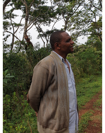Micro-Lot / Café de Forêt - Nazimu Abamecha - ETHIOPIE | ABACHABSA | GOMA | JIMMA