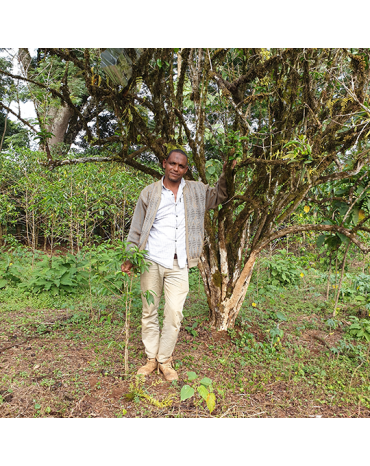Micro-Lot / Café de Forêt - Nazimu Abamecha - ETHIOPIE | ABACHABSA | GOMA | JIMMA