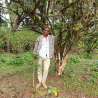 Micro-Lot / Café de Forêt - Nazimu Abamecha - ETHIOPIE | ABACHABSA | GOMA | JIMMA