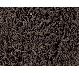 Thé Noirs Natures / Fumé Lapsang Souchong BIO