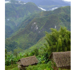 Papouasie Nouvelle-Guinée SIGRI | VALLÉE DE WAHGI |HAUTES-TERRES OCCIDENTALES
