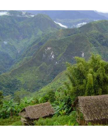 Papouasie Nouvelle-Guinée SIGRI | VALLÉE DE WAHGI |HAUTES-TERRES OCCIDENTALES
